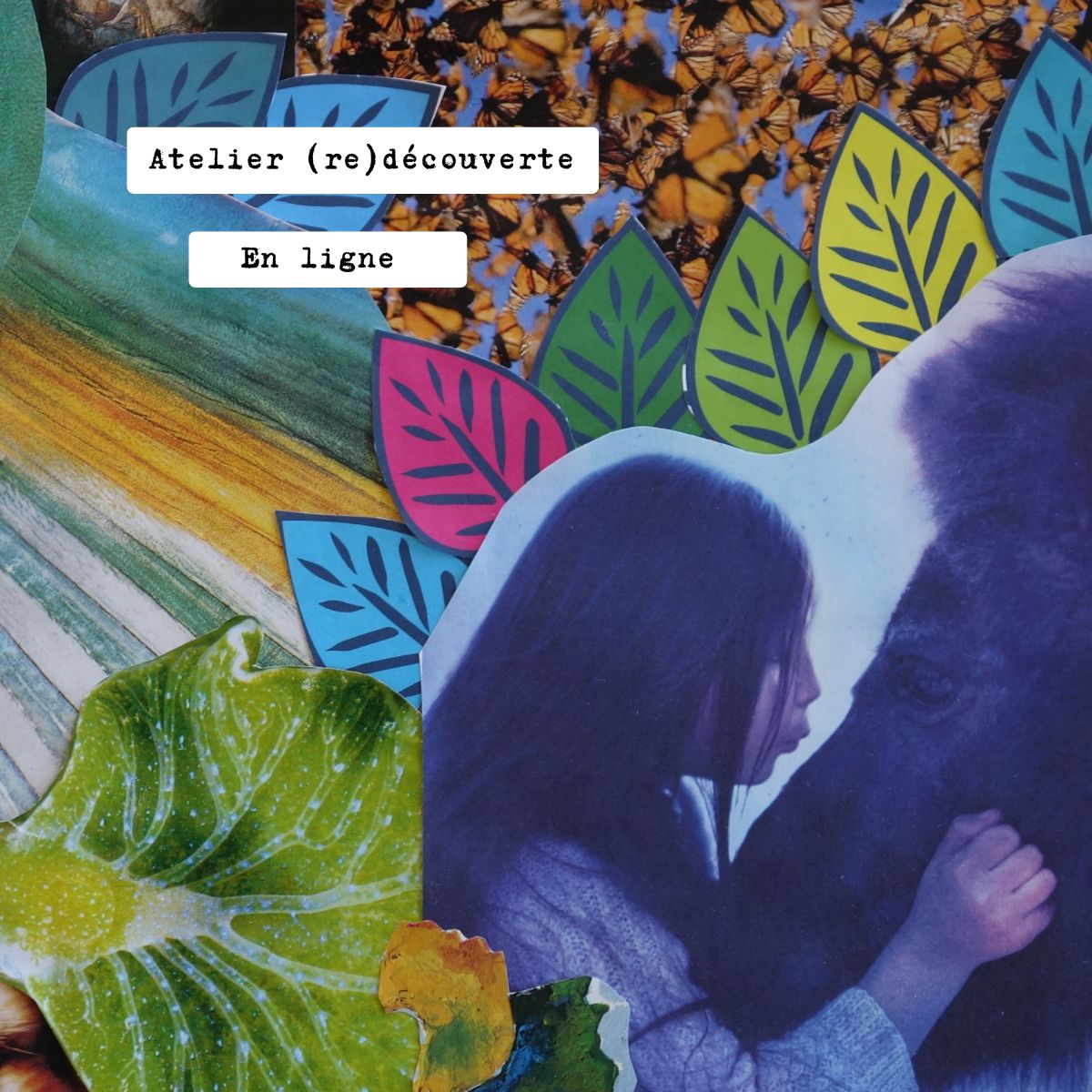 Atelier (re)découverte atelier écriture zoom